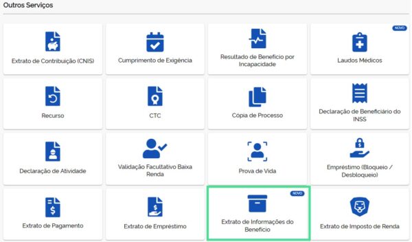 meu inss